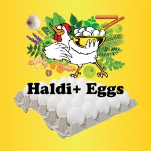 Haldi+-Eggs-30