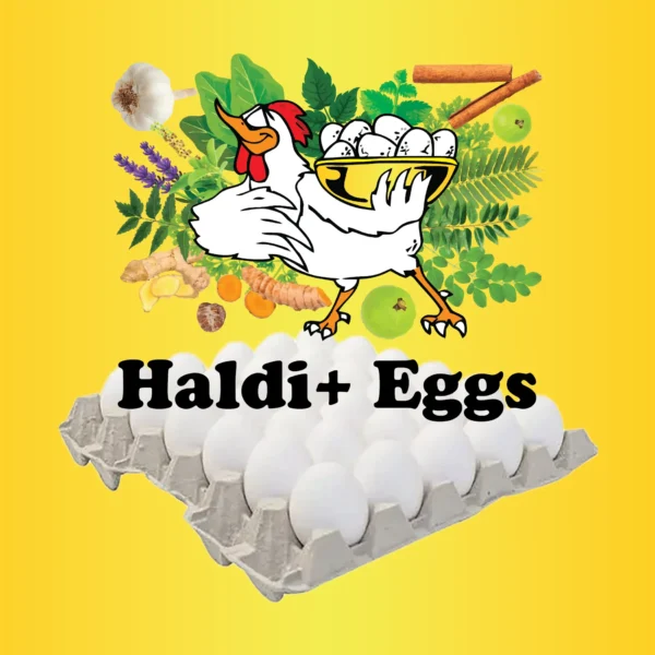 Haldi+-Eggs-30