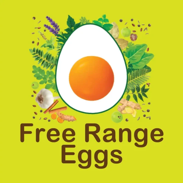 free-range-eggs